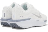 Nike Air Winflo 11