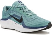 Nike Air Winflo 11 