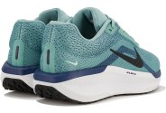 Nike Air Winflo 11
