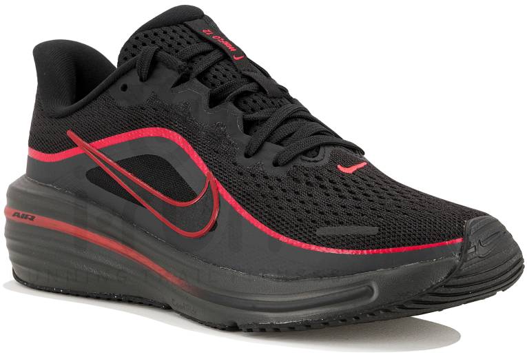 Nike Air Winflo 12 Junior 