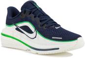Nike Air Winflo 12 Junior 