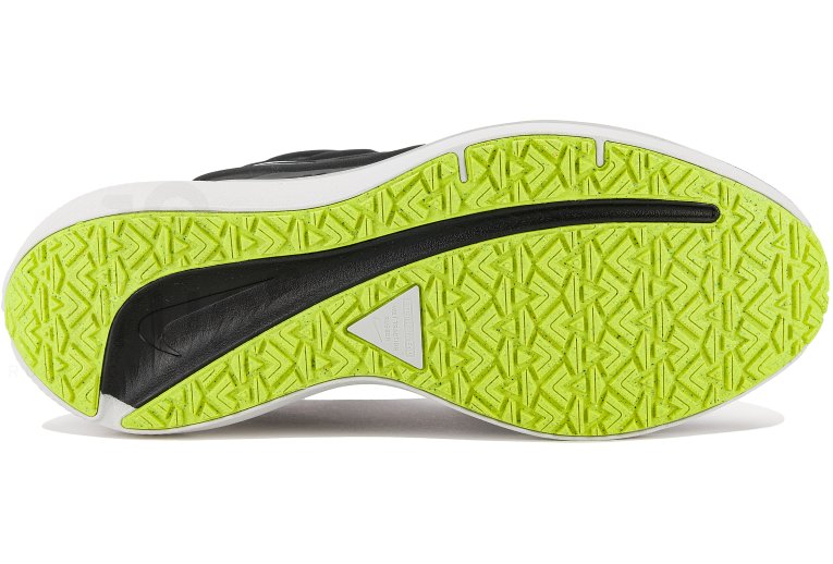 Nike Air Winflo 9 Shield W