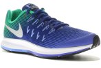 Nike Air Zoom Pegasus 33
