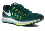 Nike Air Zoom Pegasus 33