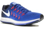 Nike Air Zoom Pegasus 33