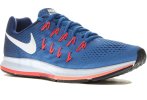 Nike Air Zoom Pegasus 33