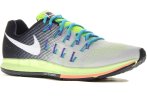 Nike Air Zoom Pegasus 33