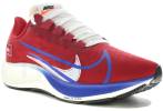 Nike Air Zoom Pegasus 37
