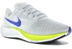 Nike Air Zoom Pegasus 37 Ekiden