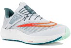 Nike Air Zoom Pegasus 39 FlyEase