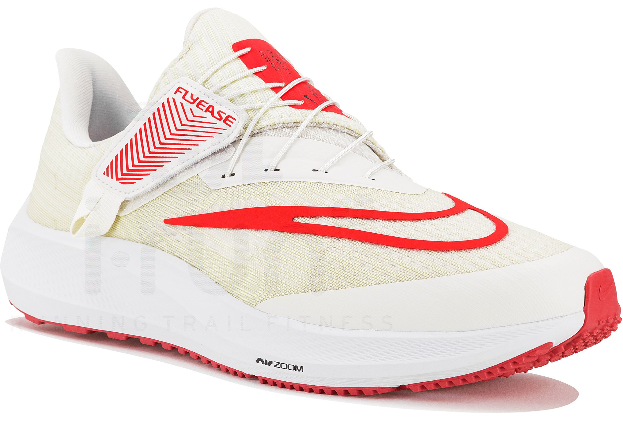 Nike Air Zoom Pegasus 39 FlyEase