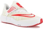 Nike Air Zoom Pegasus 39 FlyEase