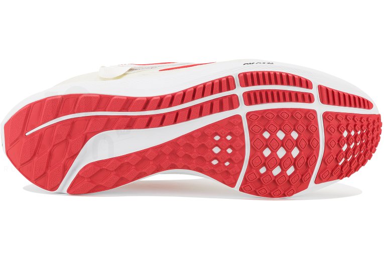 Nike Air Zoom Pegasus 39 FlyEase