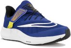 Nike Air Zoom Pegasus 39 FlyEase