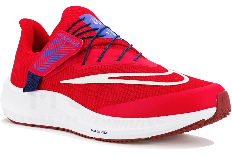 Nike Air Zoom Pegasus 39 FlyEase