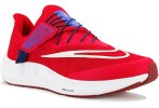 Nike Air Zoom Pegasus 39 FlyEase