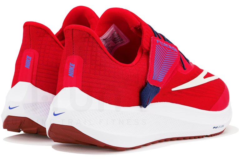 Nike Air Zoom Pegasus 39 FlyEase