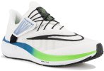 Nike Air Zoom Pegasus 39 FlyEase Herren