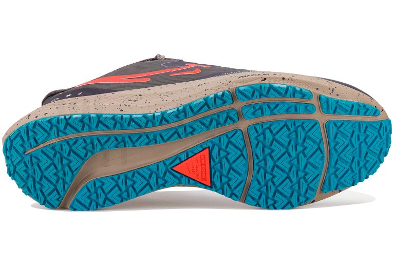 Nike Air Zoom Pegasus 39 Shield