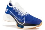 Nike Air Zoom Tempo Next% BRS Herren