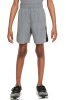 Nike Dri-Fit Challenger