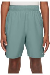 Nike Dri-Fit Challenger