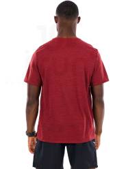 Nike Dri-Fit UV Miler