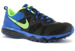 Nike Dual Fusion Trail