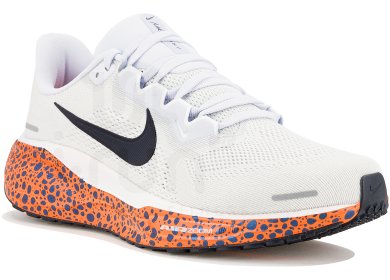 Pegasus 41