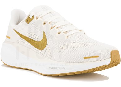 Pegasus 41
