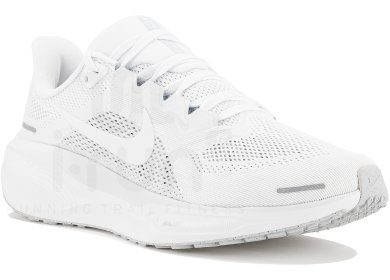 Pegasus 41
