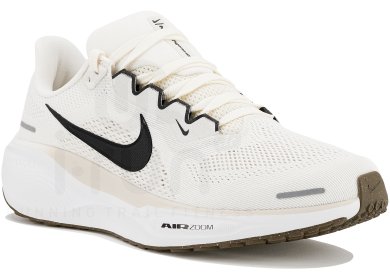 Pegasus 41