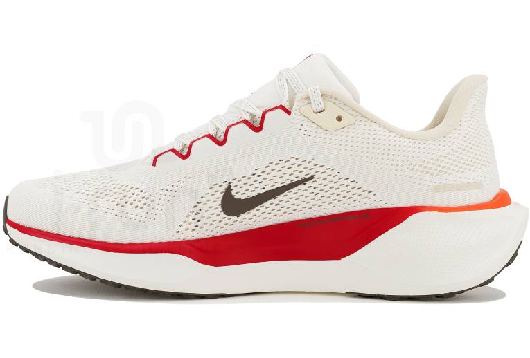 Nike Pegasus 41 