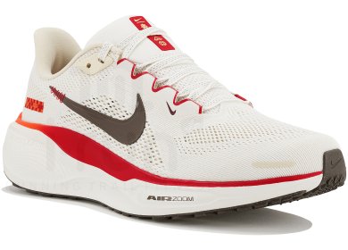 Pegasus 41