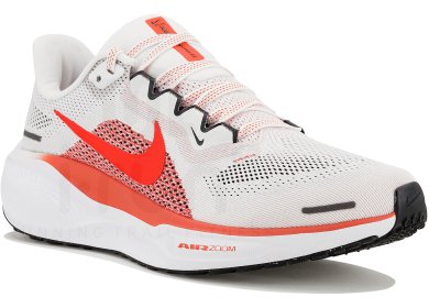Pegasus 41
