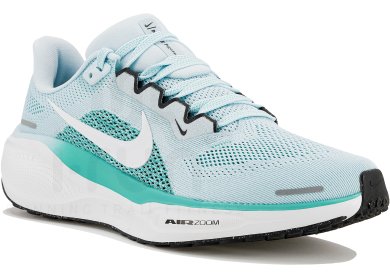 Pegasus 41
