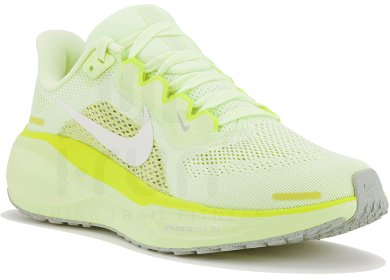 Pegasus 41