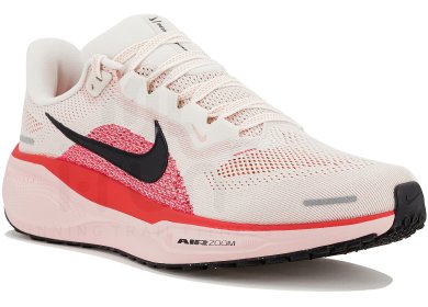 Pegasus 41
