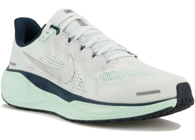 Pegasus 41