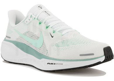 Pegasus 41