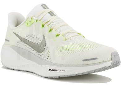 Pegasus 41