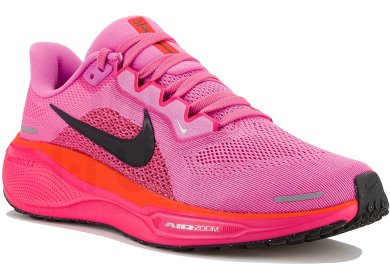 Pegasus 41