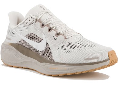 Pegasus 41