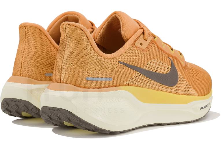 Nike Pegasus 41 