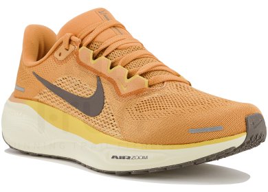 Pegasus 41