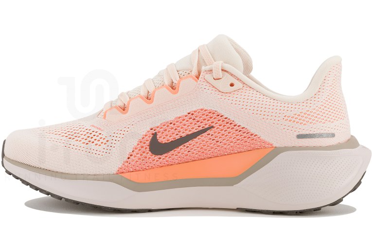 Nike Pegasus 41 