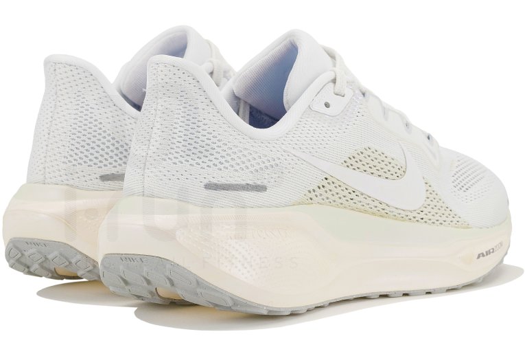 Nike Pegasus 41 ESS