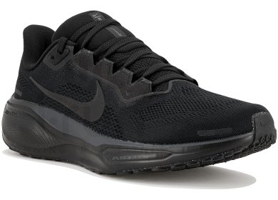 Pegasus 41