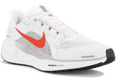 Pegasus 41
