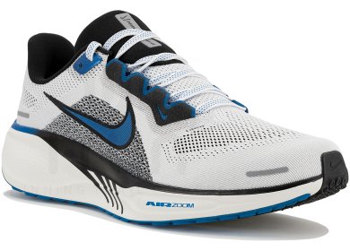 Pegasus 41